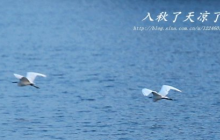 天氣冷了關(guān)心的暖心句子 暖心句子