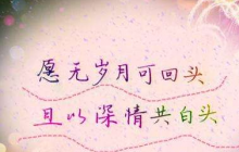 對(duì)老公心寒絕望的句子