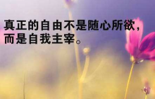 發(fā)朋友圈的精美句子