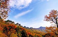 “幽禽兀自囀佳音,玉立雕籠萬里心。只為從前解言語,半生不得在山林”這是明代