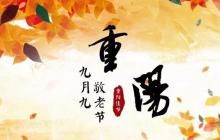 精選寫重陽節(jié)作文匯編