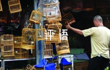 學(xué)生期末總結(jié)評(píng)語10篇