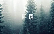 表揚(yáng)總結(jié)寫得好的評(píng)語10篇