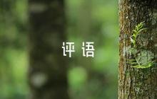 點(diǎn)評(píng)匯報(bào)寫得好的評(píng)語7篇