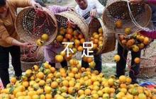 2022年黨員互評(píng)評(píng)語缺點(diǎn)不足及建議集合5篇