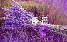 教師黨員互評(píng)評(píng)語范文十篇