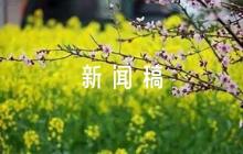 關(guān)于學(xué)校疫情防控新聞稿.【十篇】