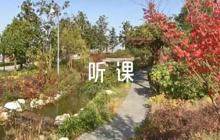 小學(xué)道德與法治聽課評(píng)語(通用8篇)