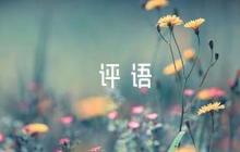 初中生畢業(yè)家長評(píng)語【8篇】