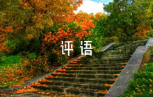 干部考察評(píng)語八篇
