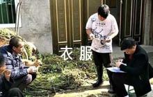 衣服好評(píng)15字以上  衣服好評(píng)語50字以上復(fù)制范文(通用4篇)