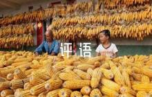 關(guān)于干部考核政治表現(xiàn)評(píng)語15條【五篇】