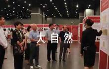 關于大自然的詩【4篇】