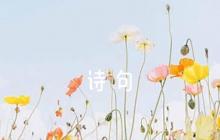 無所畏懼的詩句范文(精選6篇)