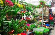 課文《大道之行也》優(yōu)秀教學(xué)設(shè)計(jì)匯編4篇