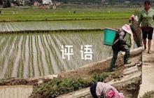 個(gè)人  評(píng)語(yǔ)六篇