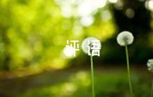 個(gè)人年終考核評(píng)語(yǔ)集合6篇