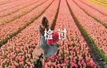 黨員干部個(gè)人違紀(jì)檢討書(shū)【匯編四篇】