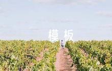 宣傳日標語模板(合集6篇)