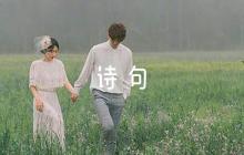 關于描寫桃花的詩句范文六篇