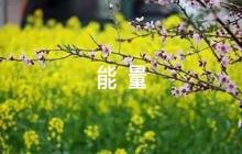 關(guān)于2022年會主題標語正能量【四篇】