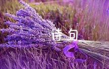 關(guān)于描寫杏花的詩句大全四篇