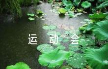 運(yùn)動(dòng)會(huì)加油稿100字左右范文(精選8篇)