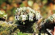 年度優(yōu)秀教師教學(xué)反思集合6篇