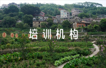 培訓(xùn)機(jī)構(gòu)安全應(yīng)急預(yù)案10篇