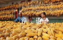出科老師評(píng)語【八篇】