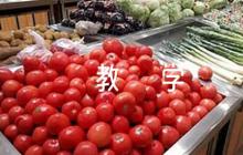 記金華的雙龍洞教學(xué)反思五篇