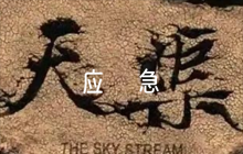 森林草原防滅火工作應(yīng)急預(yù)案6篇