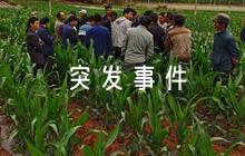 社區(qū)突發(fā)事件應(yīng)急預(yù)案集合5篇