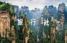 旅行社關(guān)于疫情防控應(yīng)急預(yù)案集合5篇