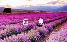 疫情防控工作方案和應(yīng)急預(yù)案(通用8篇)