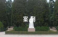 教學(xué)反思案例范文(通用8篇)
