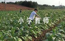 小學(xué)教師給學(xué)生評(píng)語(yǔ)范文(通用7篇)