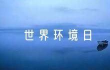 世界環(huán)境日的手抄報范文(精選5篇)