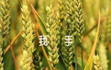 文明健康有你有我手抄報范文(通用8篇)
