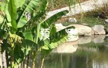 施工疫情防控應(yīng)急預(yù)案9篇