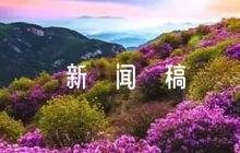 運動會新聞稿(通用8篇)