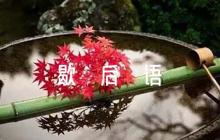 水滸傳歇后語(yǔ)范文五篇