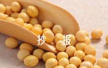 抗戰(zhàn)的手抄報六篇