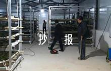 文明伴我行手抄報范文(通用6篇)