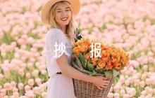 建黨一百周年手抄報內(nèi)容六篇