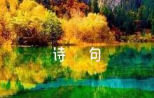 描寫松樹的詩句【6篇】