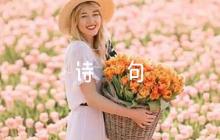 描寫雨的詩句(通用5篇)