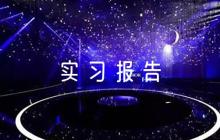電子商務實習報告3000字集合8篇