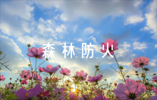 森林防火應(yīng)急預(yù)案【六篇】