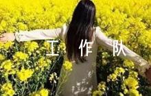 對駐村工作隊評語范文六篇